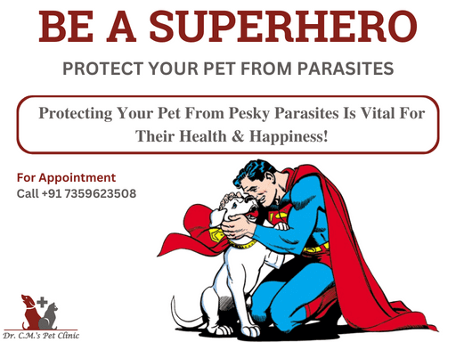 Be a Superhero for Your Pet: Protect Them from Deadly Parasites
