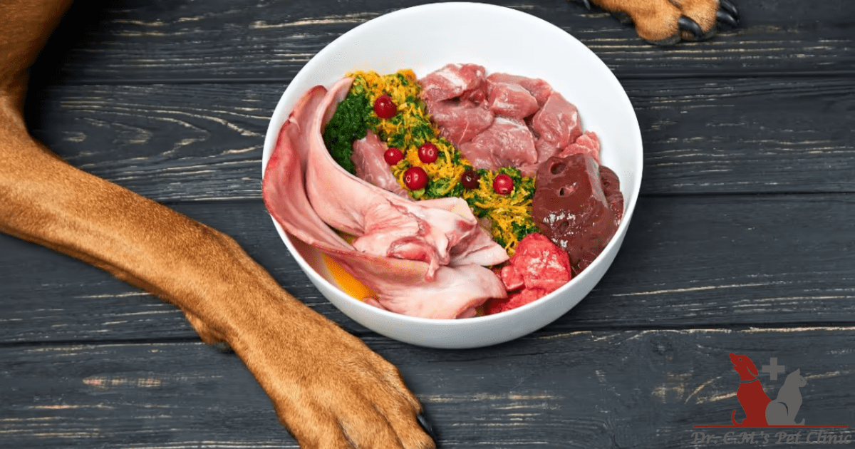 The Key to a Happy and Healthy Pet: Understanding the Importance of Proper Nutrition
