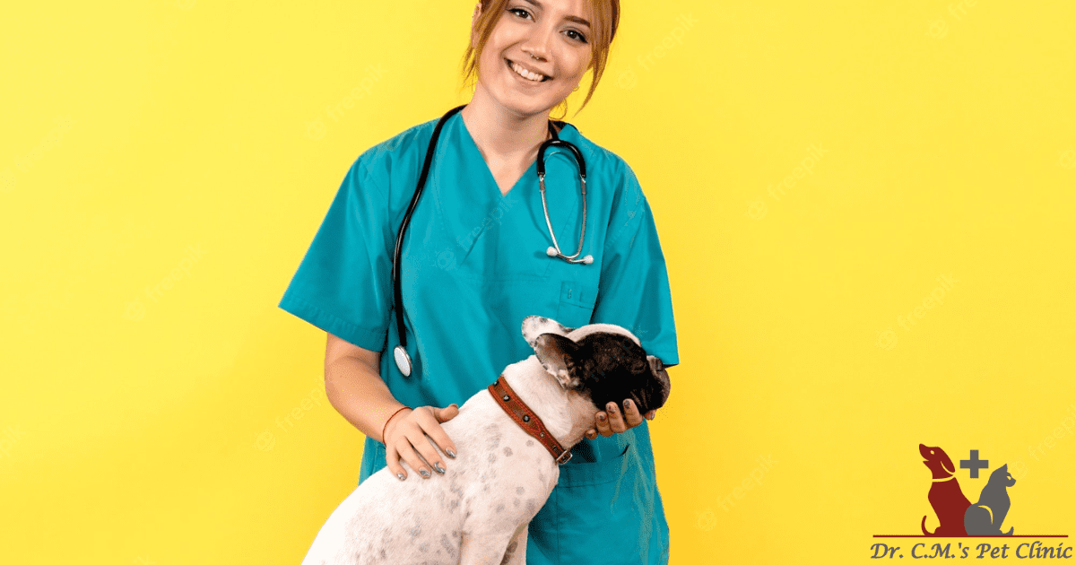 Looking for a Reliable Veterinary Doctor? We've Got You Covered @ Dr.C.M.'s Pet Clinic, South Bopal, Ahmedabad