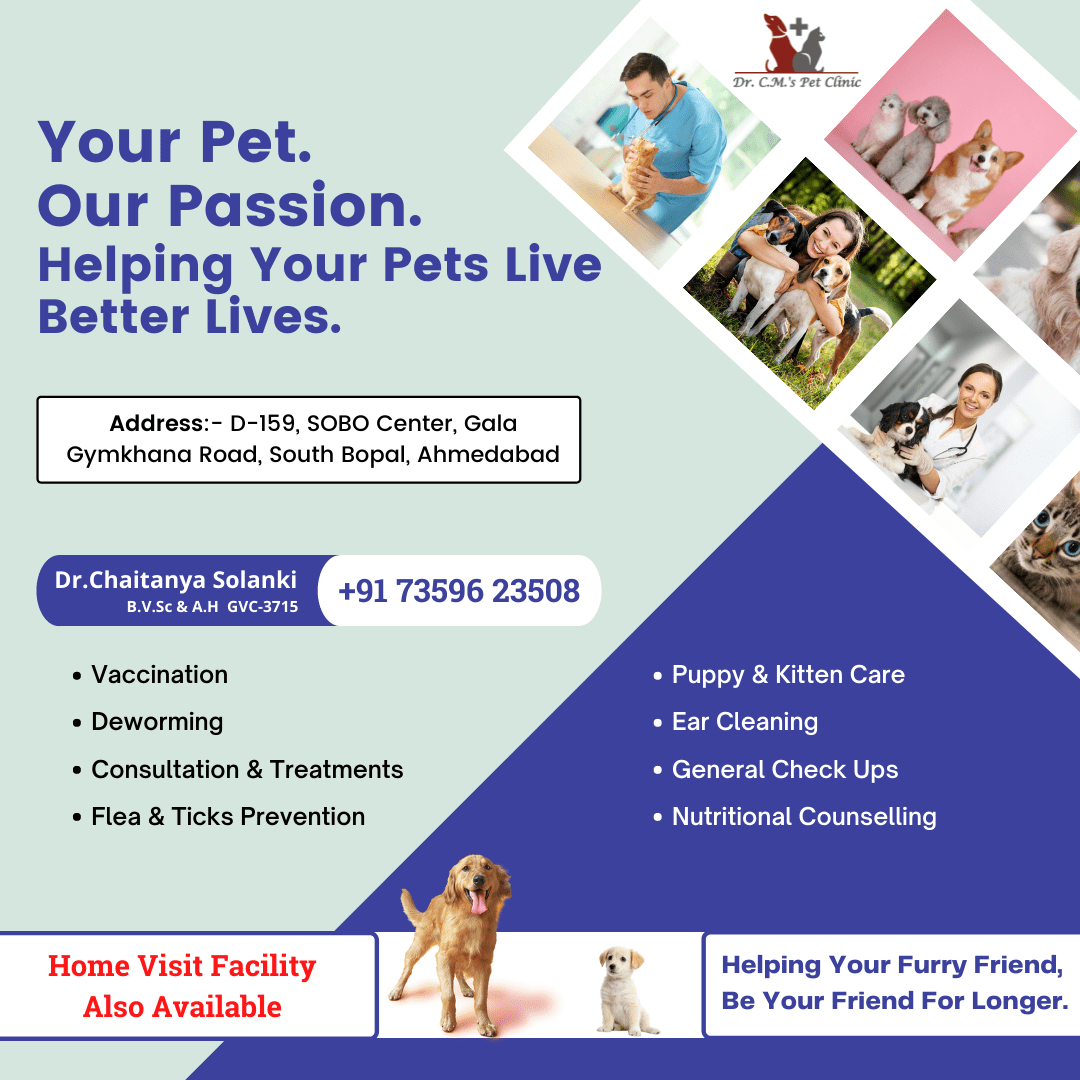 Looking For A Veterinary Doctor Near You In Ahmedabad?