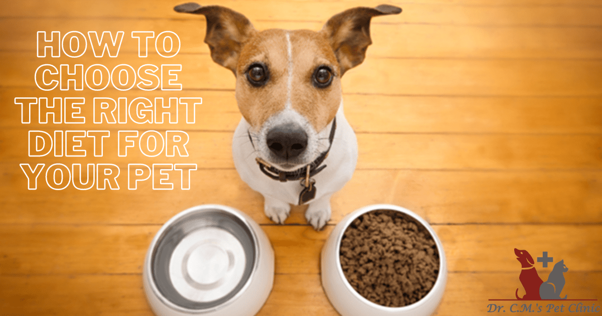 How to Choose the Right Diet for Your Pet