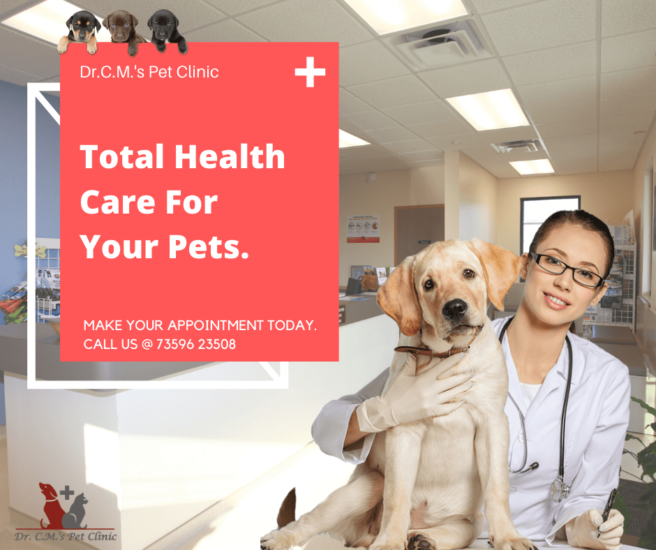 Total Health Care For Your Pets 