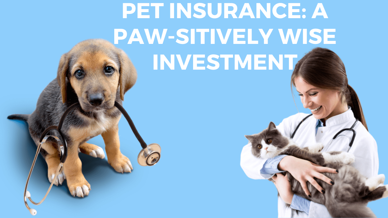pet-insurance (1)